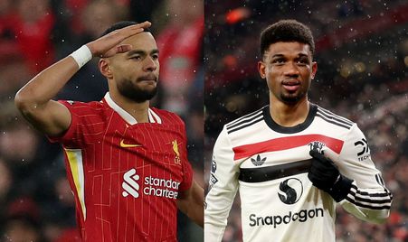 迅速发展的 迅速发展的