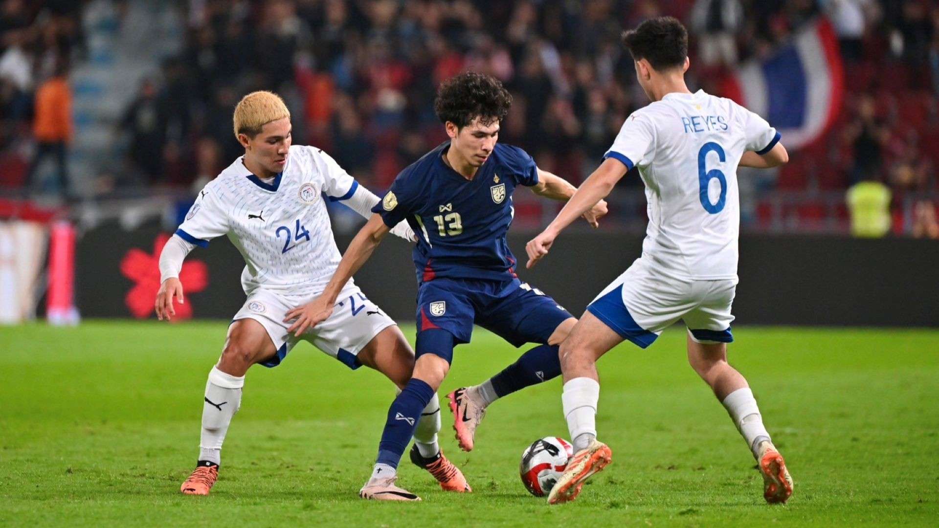 蒙上了一层 蒙上了一层